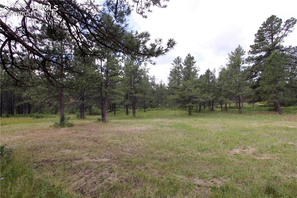 6792 Yampa Drive - Photo 1