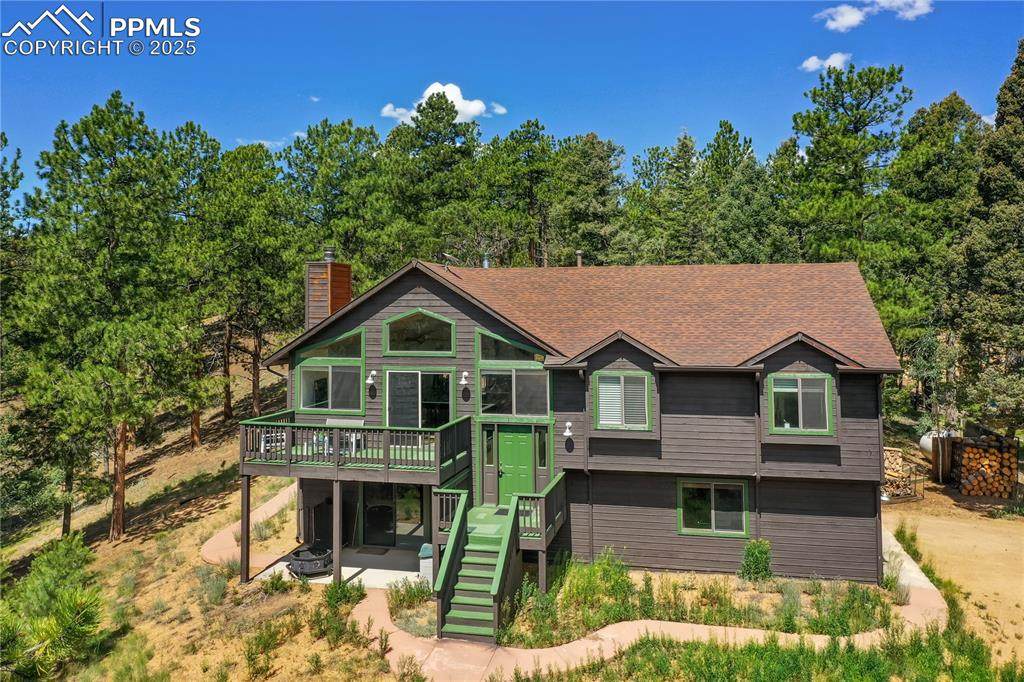 4041 Trout Creek Road - Photo 1