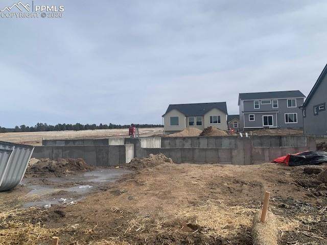 3202 Red Cavern Road - Photo 1