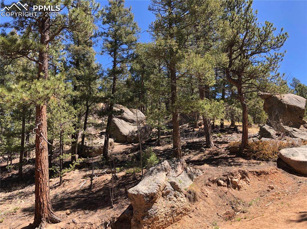 16 Gitchigoomee Trail - Photo 1