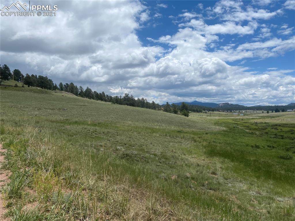 315 Empire Road - Photo 1