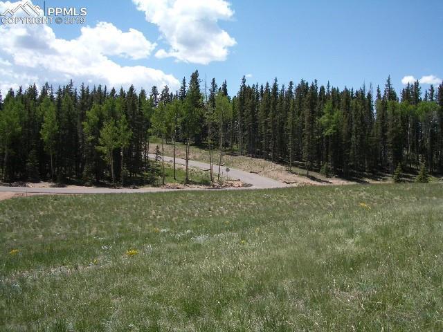 309 Pinaceae Heights - Photo 1
