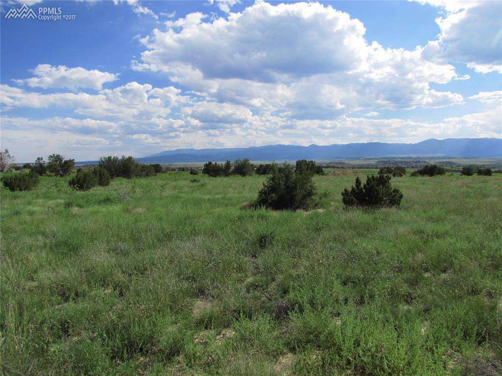 1133 Top Notch Trail - Photo 1