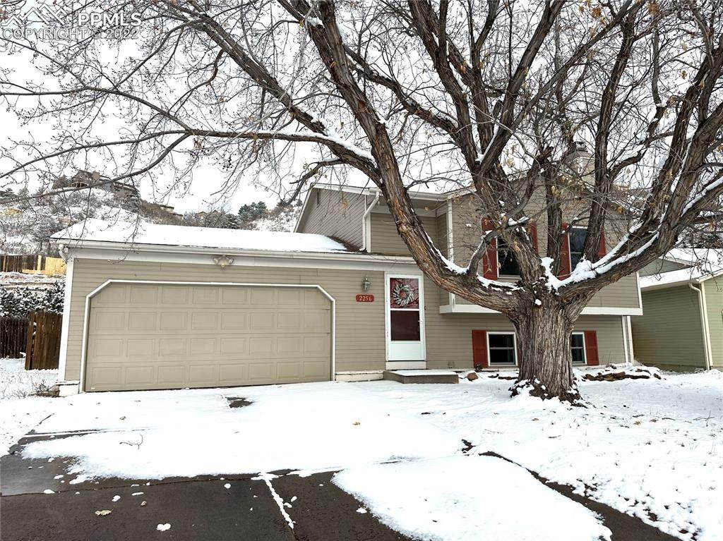 2256 Silent Rain Drive - Photo 1