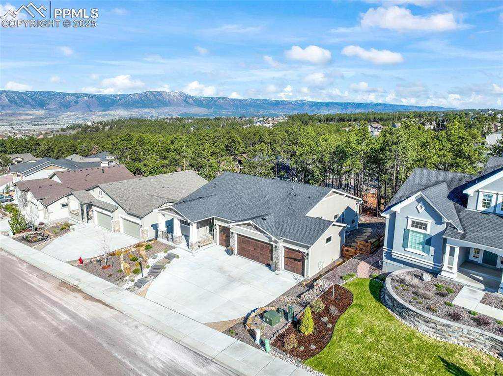1004 Tree Bark Terrace - Photo 1