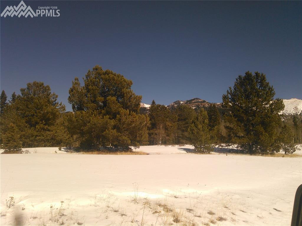 000 County 61 Road - Photo 1