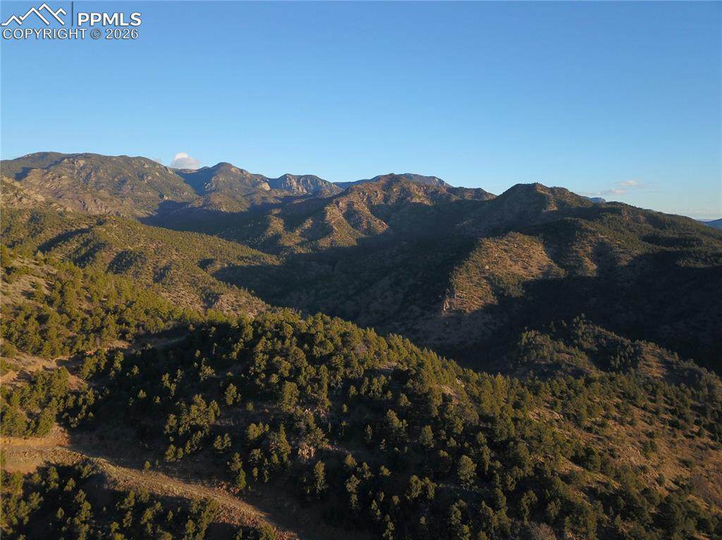 3735 Big Spruce Heights - Photo 1