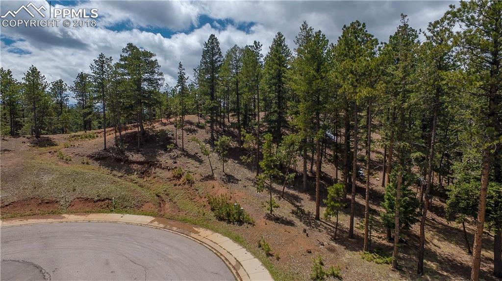 1200 Cottontail Trail - Photo 1