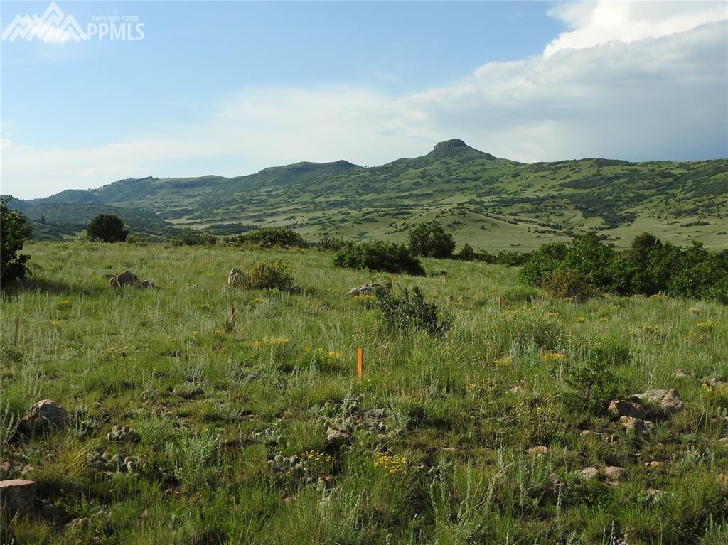 TBD Caprock Road - Photo 1
