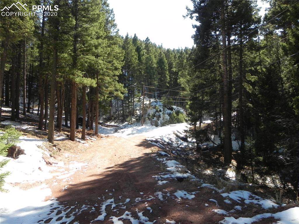 13431 Firedog Way - Photo 1 13431 Firedog Way - Photo 1