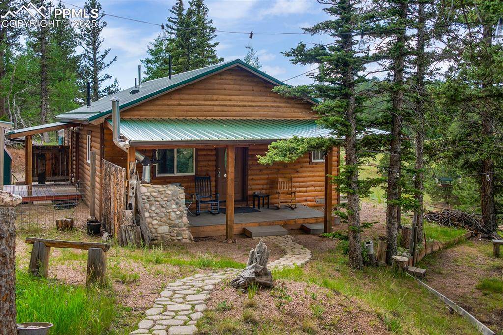 173 Chalk Creek Trail - Photo 1