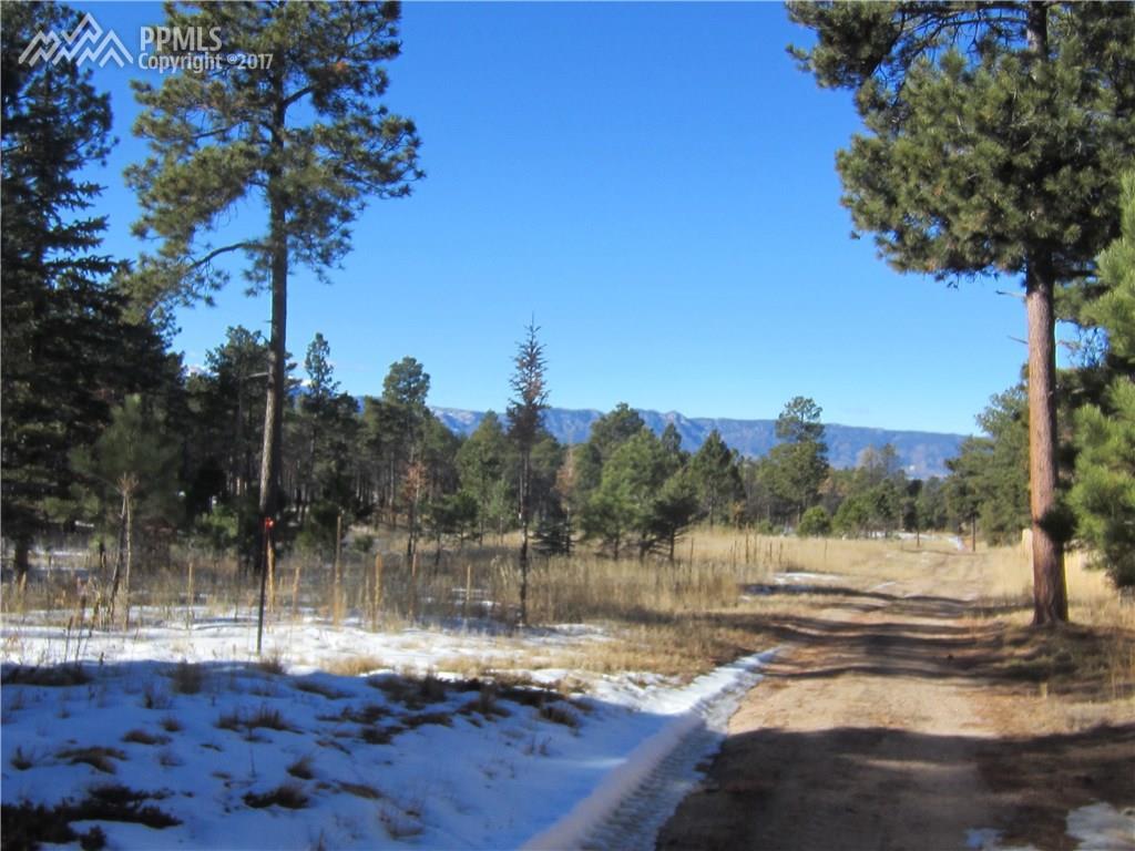 14120 Holmes Road - Photo 1