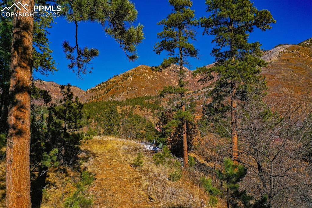 5330 Chipita Pines Drive - Photo 1