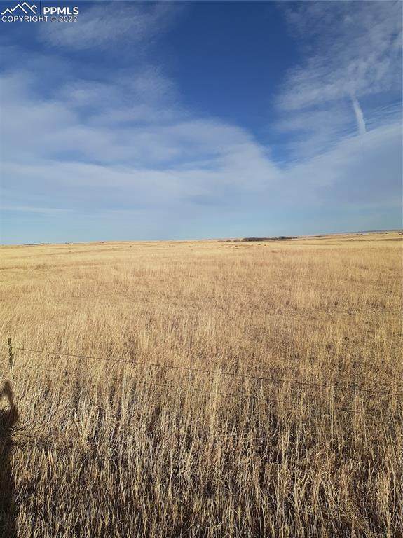 00 Mcclelland Road - Photo 1