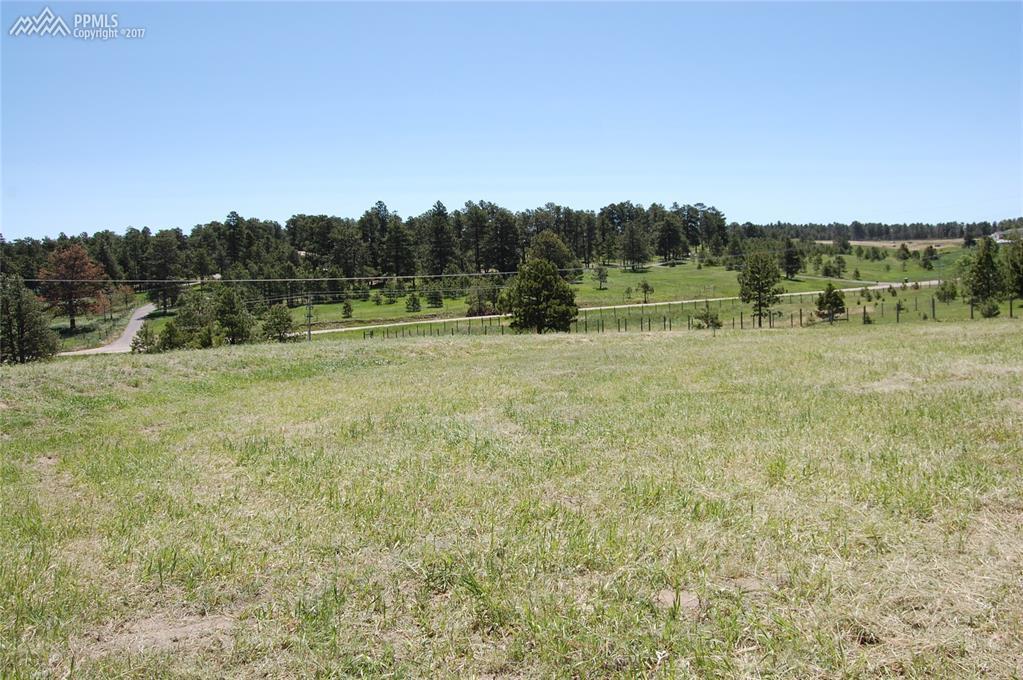 16875 Oldborough Heights - Photo 1