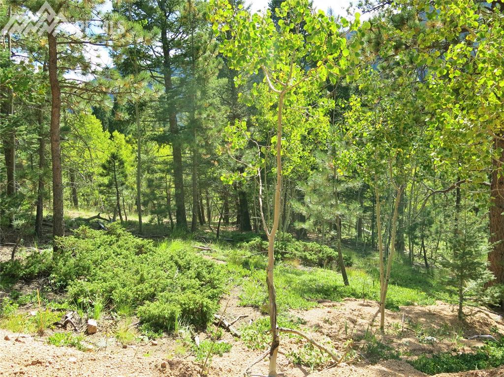 0 Eagle Mountain Road - Photo 1