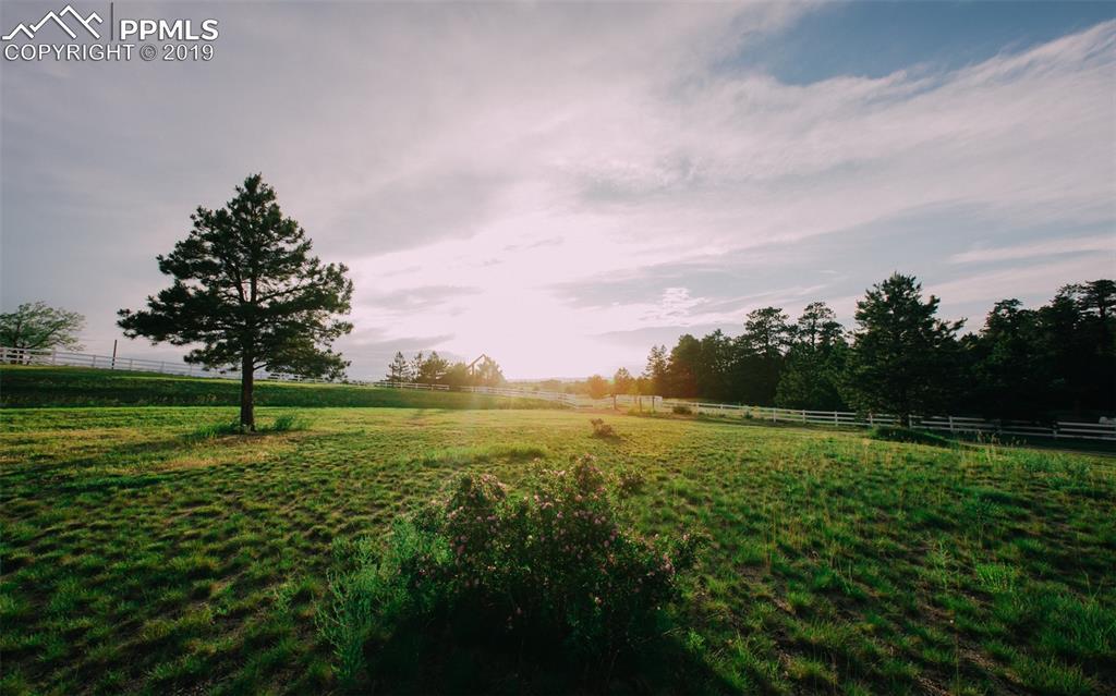 3388 Blue Heron Spring Lane - Photo 1