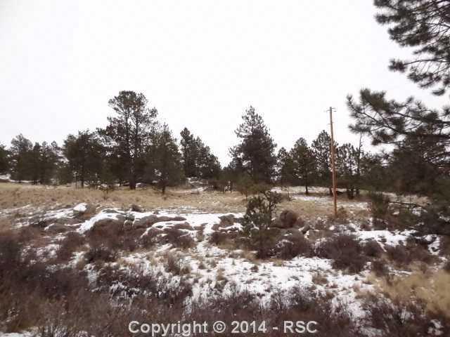 808 Timber Mesa - Photo 1