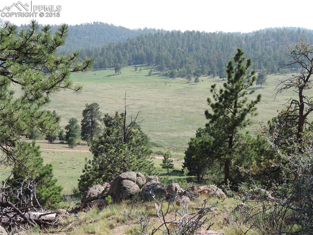 632 Spring Valley Drive - Photo 1