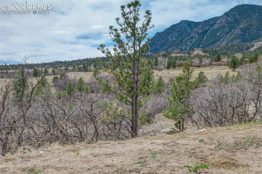 751 Overlook Ridge Point - Photo 1