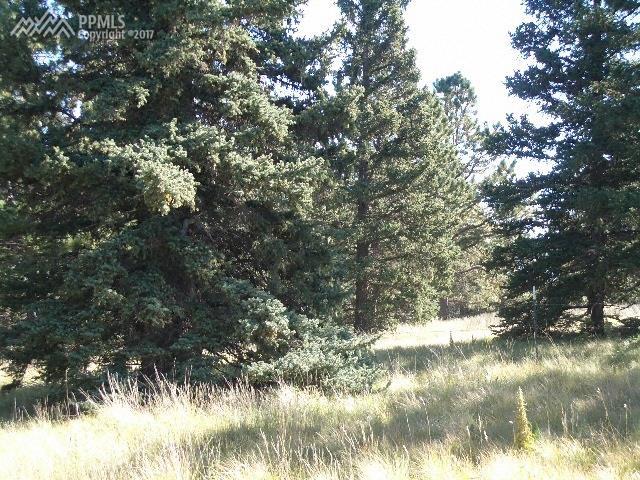 404 Silvermoon Heights - Photo 1