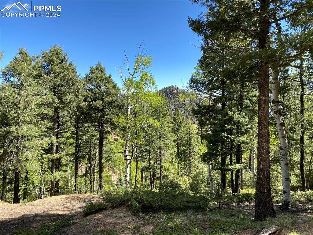 210 Waterfall Loop - Photo 1