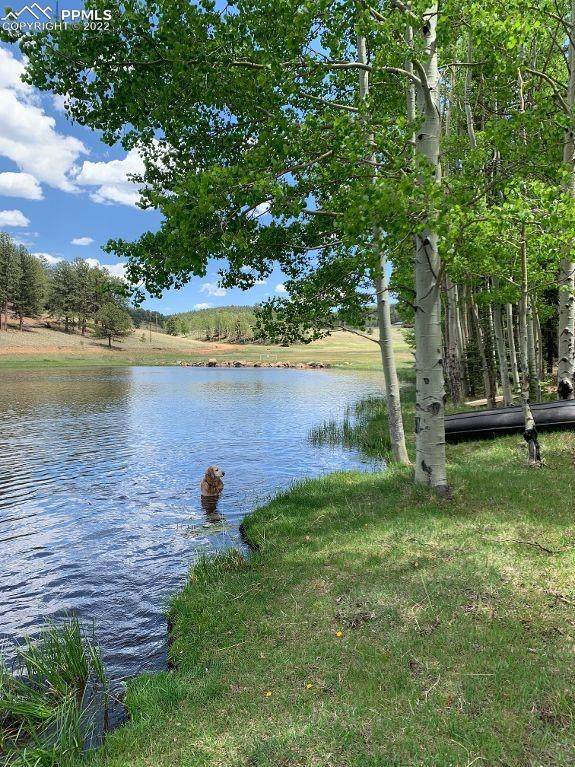 3770 Twin Rocks Road - Photo 1