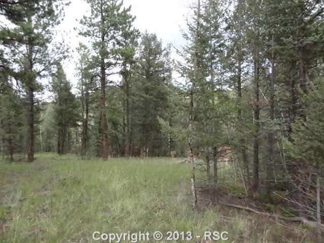 59 Nevada Lane - Photo 1