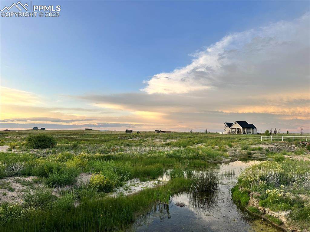 18320 Falcon Highway - Photo 1