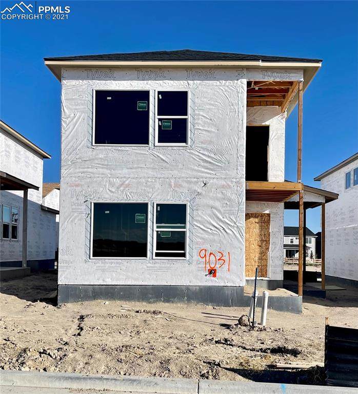 9031 Slinky Heights - Photo 1
