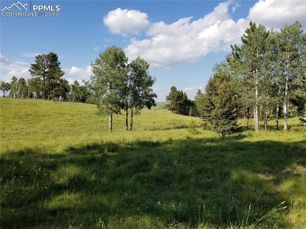 TBD Highway 67 Highway - Photo 1
