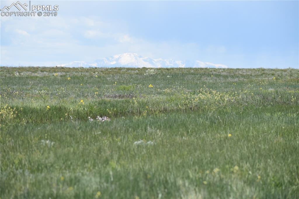 0000 County 169 Road - Photo 1