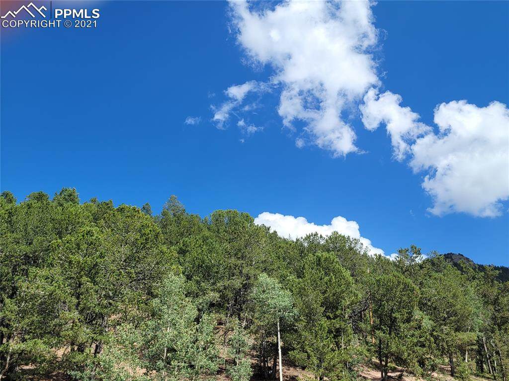9455 Canyon Drive - Photo 1