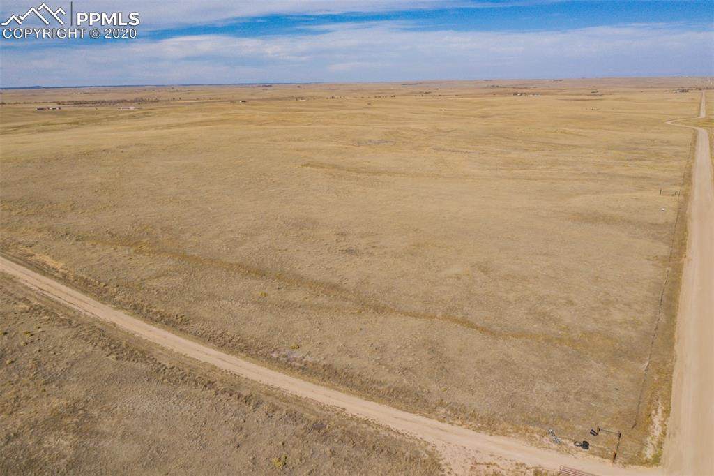 16790 Blasingame Road - Photo 1