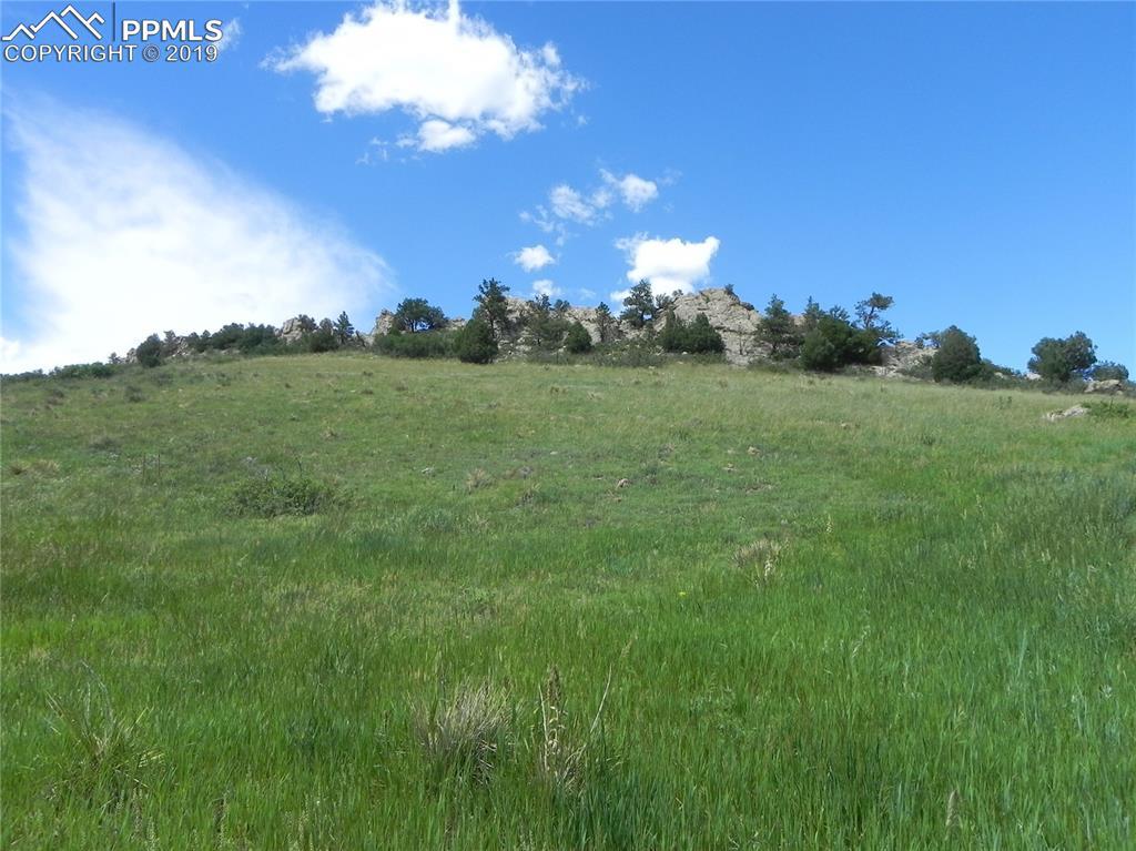 5721 Country Club Drive - Photo 1