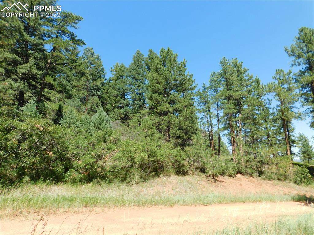 8077 Acoma Drive - Photo 1