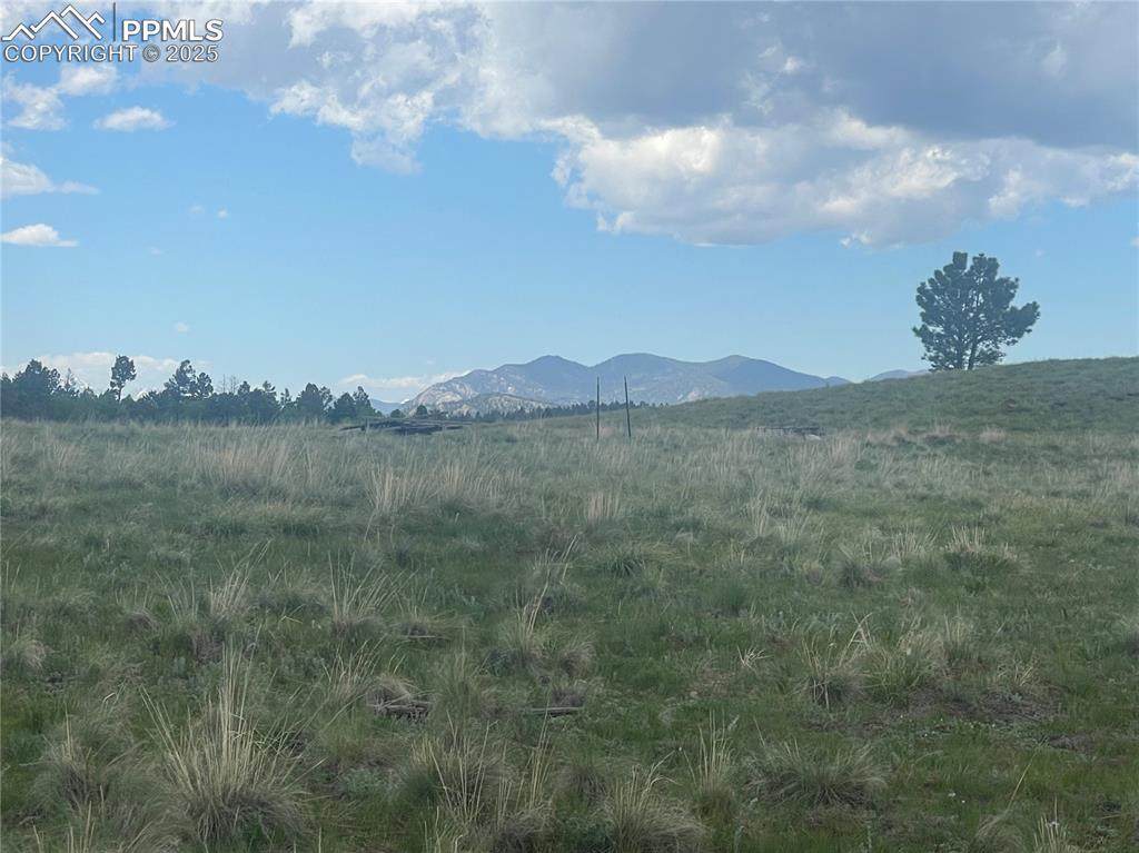 309 Castle Mountain Drive - Photo 1