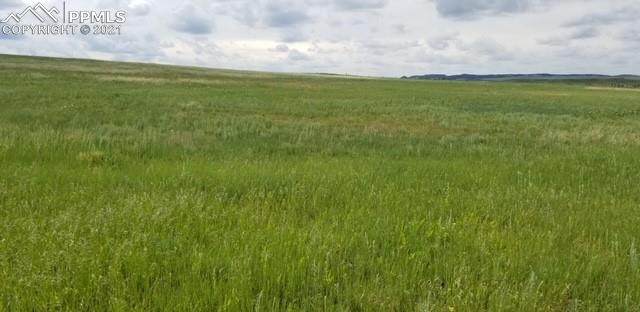 0 County Road 78 Road - Photo 1