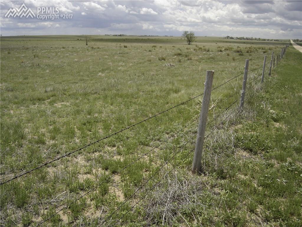 38955 Trogilo Road - Photo 1