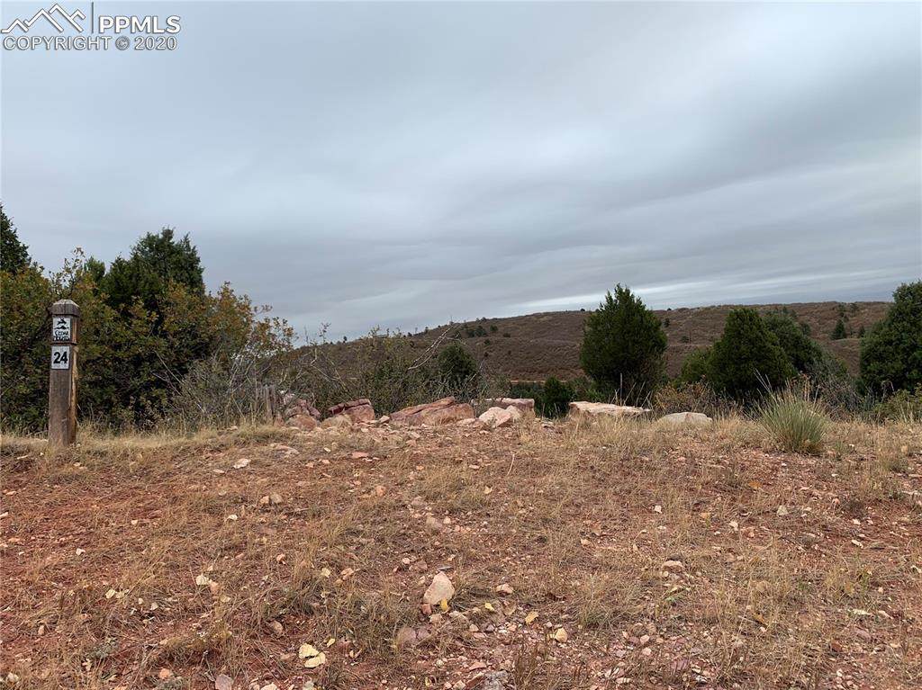 3675 Twisted Oak Circle - Photo 1