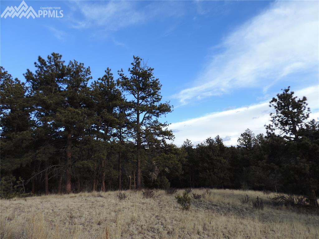 202 Pike View Lane - Photo 1