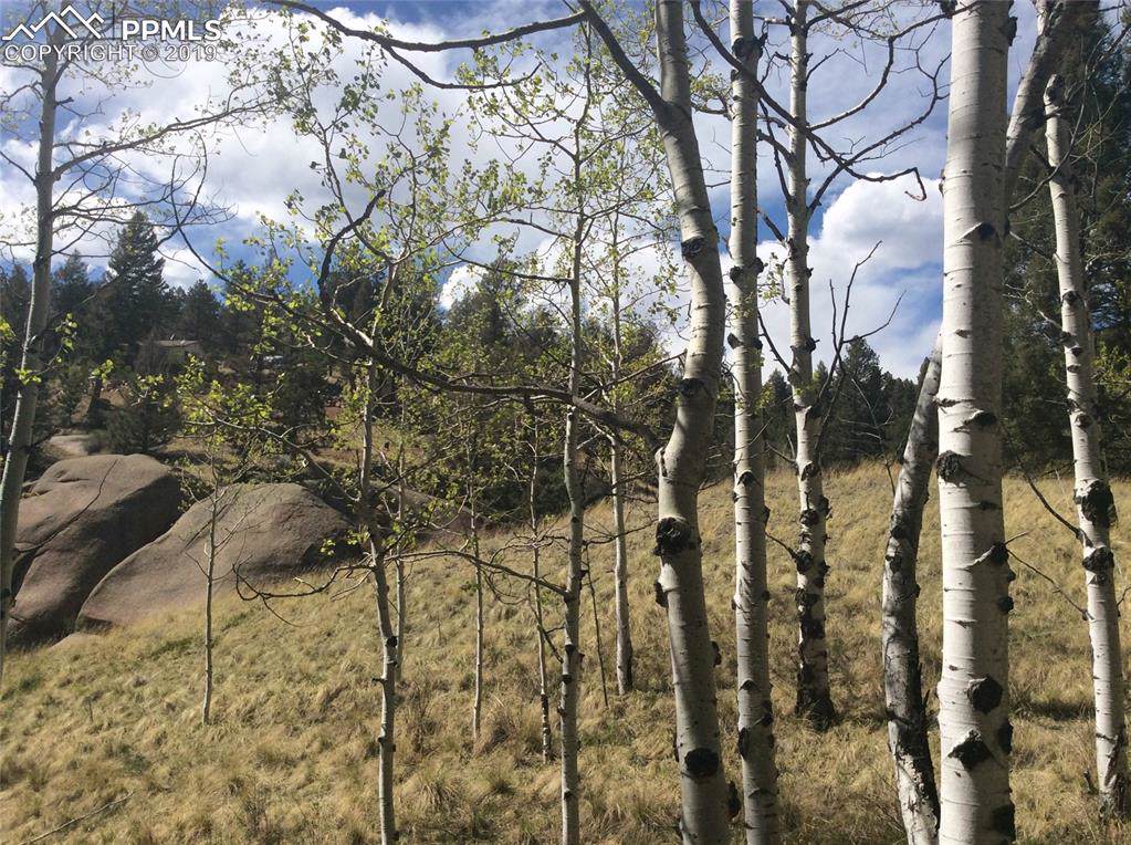 833 Pinon Lane - Photo 1