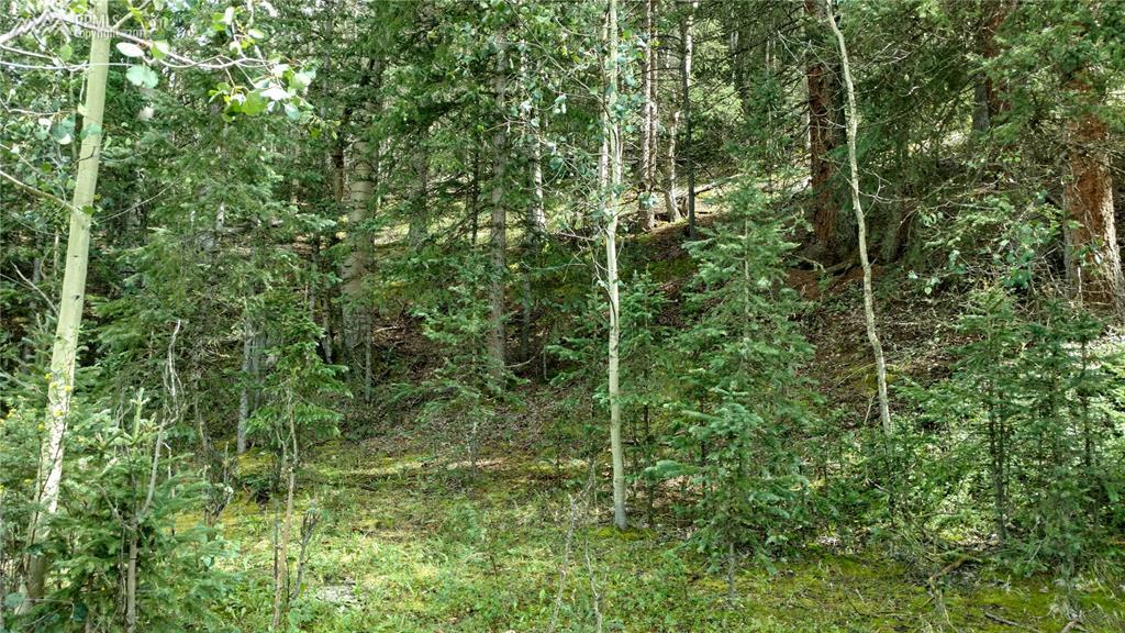 2316 Anges Drive - Photo 1
