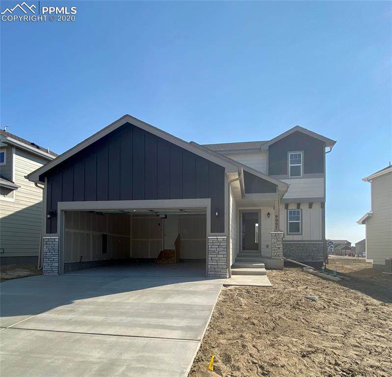 9997 Castor Drive - Photo 1