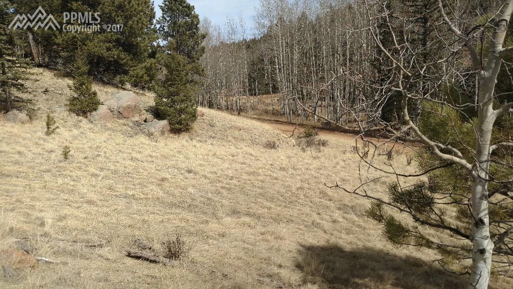 3168 Mountain Estates Road - Photo 1