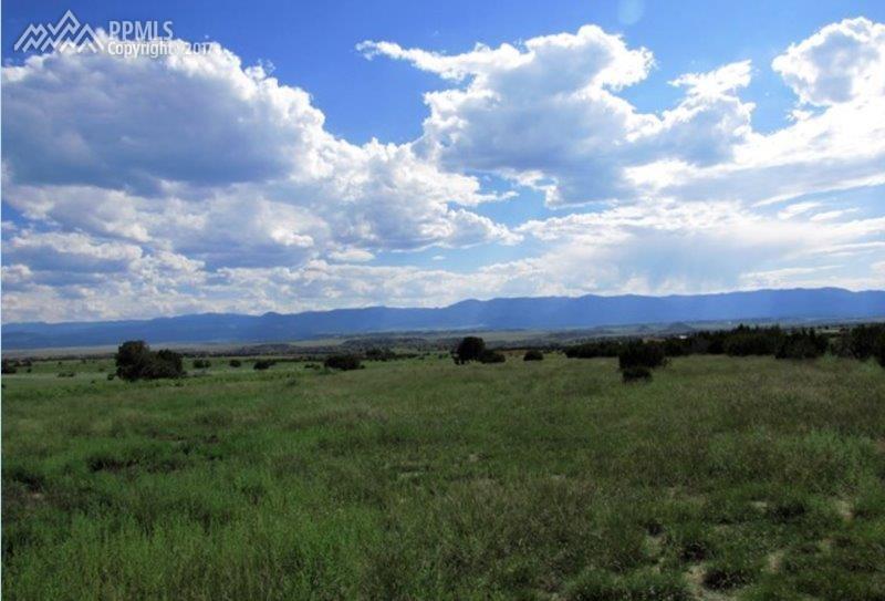 108 Tumbleweed Trail - Photo 1