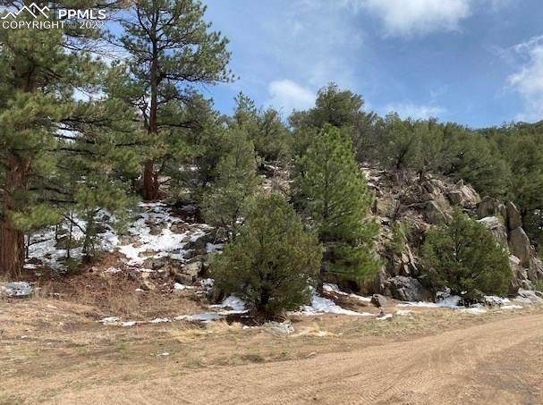 8932 Copper Gulch Road - Photo 1