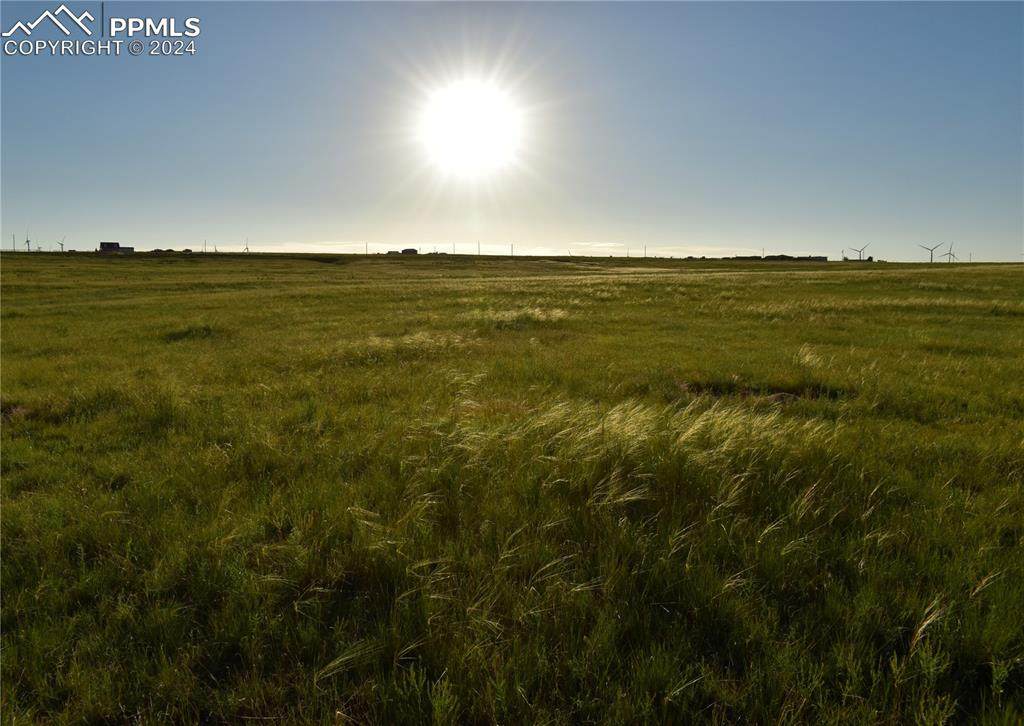 9545 Yoder Road - Photo 1