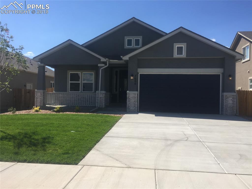 7600 Alpine Daisy Drive - Photo 1