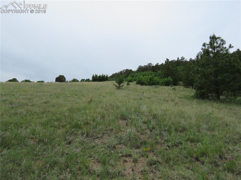 tbd Cap Rock Lane - Photo 1